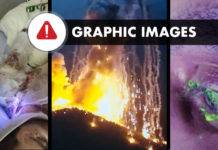 The humanitarian toll of Azerbaijani scorched-earth strategy in Artsakh/Nagorno-Karabakh: White Phosphorus, devastated nature and non-healing wounds